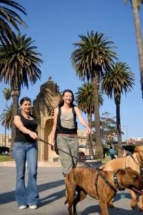International Student Friendship Program